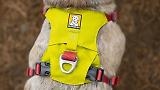 Thumbnail 11 of RUFFWEAR Hi & Light Lightweight Dog Harness - Basalt Grey