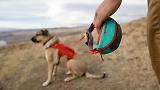 Thumbnail 18 of RUFFWEAR Hitch Hiker Dog Lead - Slate Blue
