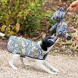 Thumbnail 7 of William Morris Reversible Dog Coat - Strawberry Thief Print