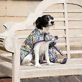 Thumbnail 8 of William Morris Reversible Dog Coat - Strawberry Thief Print