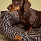 Thumbnail 7 of Joules Dog Box Bed - Henson Check