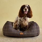 Thumbnail 9 of Joules Dog Box Bed - Henson Check