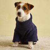 Thumbnail 11 of Joules Dog Fleece - Navy