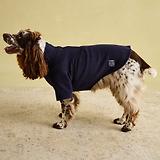 Thumbnail 12 of Joules Dog Fleece - Navy