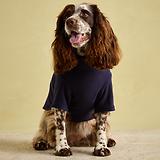 Thumbnail 8 of Joules Dog Fleece - Navy