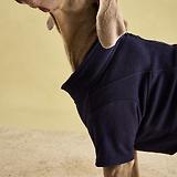 Thumbnail 9 of Joules Dog Fleece - Navy