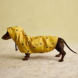 Thumbnail 11 of Joules Golightly Packaway Dog Jacket - Bee Print