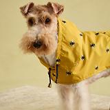 Thumbnail 9 of Joules Golightly Packaway Dog Jacket - Bee Print