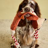 Thumbnail 2 of Joules Heritage Tweed Fox Rope Dog Toy - Red