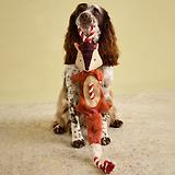 Thumbnail 9 of Joules Heritage Tweed Fox Rope Dog Toy - Red
