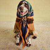 Thumbnail 9 of Joules Kennington Water Resistant Dog Coat - Brown & Khaki