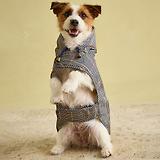 Thumbnail 11 of Joules Packaway Dog Jacket - Henson Check