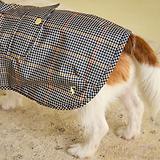 Thumbnail 12 of Joules Packaway Dog Jacket - Henson Check