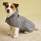 Thumbnail 7 of Joules Packaway Dog Jacket - Henson Check