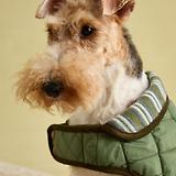 Thumbnail 12 of Joules Quilted Dog Coat - Khaki