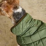 Thumbnail 15 of Joules Quilted Dog Coat - Khaki
