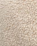 Thumbnail 10 of Barbour Women's Dulsie Liner - Ecru/Ancient Tartan