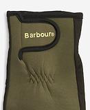 Thumbnail 3 of Barbour Men's Neoprene Gloves - Green