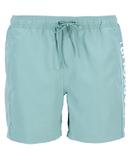 Thumbnail 1 of Barbour International Men's Large Logo Swim Shorts - Granite Green
