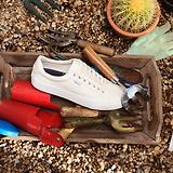 Thumbnail 2 of PS By Paul Smith Men's Canvas Amos Trainers - Ecru