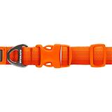 Thumbnail 2 of RUFFWEAR Front Range Dog Collar - Blaze Orange