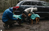 Thumbnail 14 of RUFFWEAR Dirtbag Dog Drying Towel (Large) - Aurora Teal