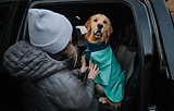 Thumbnail 16 of RUFFWEAR Dirtbag Dog Drying Towel (Large) - Aurora Teal