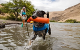 Thumbnail 8 of RUFFWEAR Lunker Floating Throw Toy - Campfire Orange