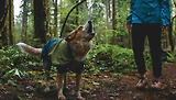 Thumbnail 8 of RUFFWEAR Sun Shower Coverall Dog Rain Suit - Midnight Blue