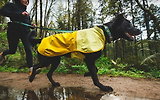 Thumbnail 17 of RUFFWEAR Sun Shower Dog Raincoat - Midnight Blue
