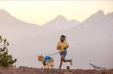 Thumbnail 7 of RUFFWEAR Trail Runner Dog Lead - Blue Pool
