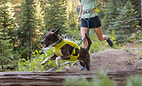 Thumbnail 9 of RUFFWEAR Trail Runner Running Belt (Small/Medium) Blue Pool