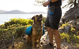 Thumbnail 8 of RUFFWEAR Treat Trader Dog Treat Pouch - Blue Pool