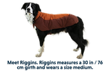 Thumbnail 13 of RUFFWEAR Vert™ Dog Jacket - Mineral Yellow