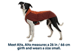 Thumbnail 12 of RUFFWEAR Vert™ Dog Jacket - Mineral Yellow