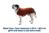 Thumbnail 11 of RUFFWEAR Vert™ Dog Jacket - Mineral Yellow