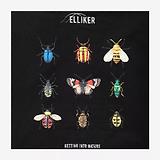 Thumbnail 4 of Elliker Unisex Rill Bug Print Short Sleeve T-Shirt - Black