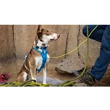 Thumbnail 9 of RUFFWEAR Flagline Dog Harness - Basalt Grey