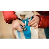 Thumbnail 10 of RUFFWEAR Flagline Dog Harness - Basalt Grey