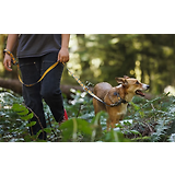 Thumbnail 12 of RUFFWEAR Crag EX Adjustable Dog Lead - Grassy Oxbow