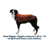 Thumbnail 13 of RUFFWEAR Vert™ Dog Jacket - Mineral Yellow