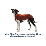 Thumbnail 12 of RUFFWEAR Vert™ Dog Jacket - Mineral Yellow