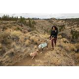 Thumbnail 12 of RUFFWEAR Flagline Dog Harness - Basalt Grey